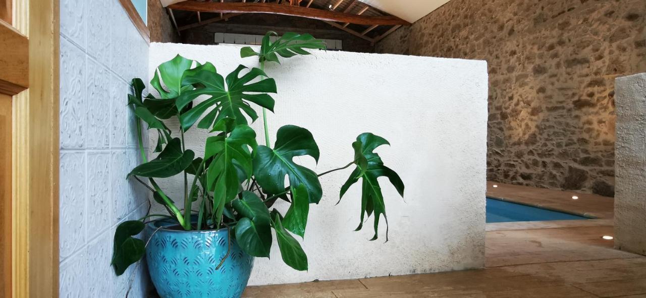 L'Escale Du Bocage Piscine Couverte Chauffee La Flocellière Exteriör bild